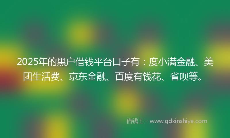 2025年的黑户借钱平台口子有：度小满金融、美团生活费、京东金融、百度有钱花、省呗等。