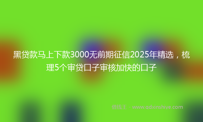 黑贷款马上下款3000无前期征信2025年精选，梳理5个审贷口子审核加快的口子