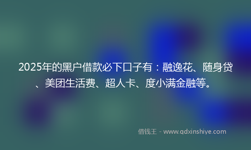 2025年的黑户借款必下口子有：融逸花、随身贷、美团生活费、超人卡、度小满金融等。