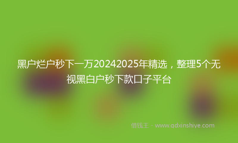 黑户烂户秒下一万20242025年精选，整理5个无视黑白户秒下款口子平台