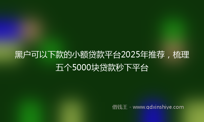黑户可以下款的小额贷款平台2025年推荐，梳理五个5000块贷款秒下平台