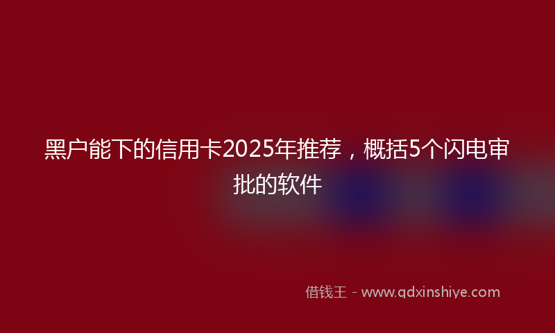 黑户能下的信用卡2025年推荐，概括5个闪电审批的软件