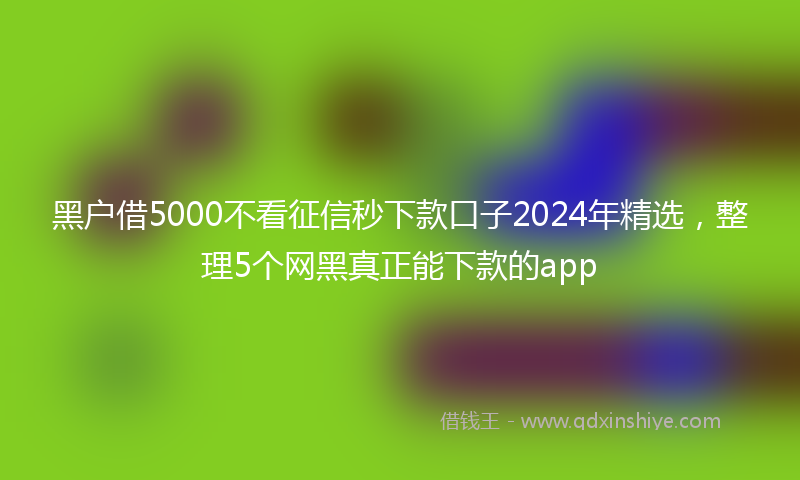 黑户借5000不看征信秒下款口子2024年精选，整理5个网黑真正能下款的app