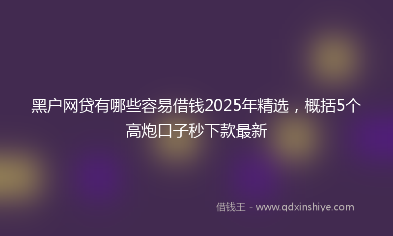 黑户网贷有哪些容易借钱2025年精选，概括5个高炮口子秒下款最新