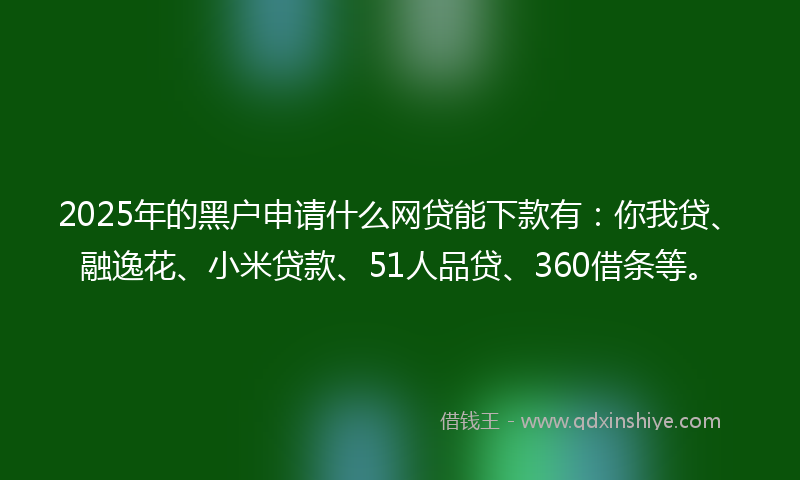 2025年的黑户申请什么网贷能下款有：你我贷、融逸花、小米贷款、51人品贷、360借条等。