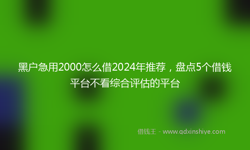 黑户急用2000怎么借2024年推荐，盘点5个借钱平台不看综合评估的平台