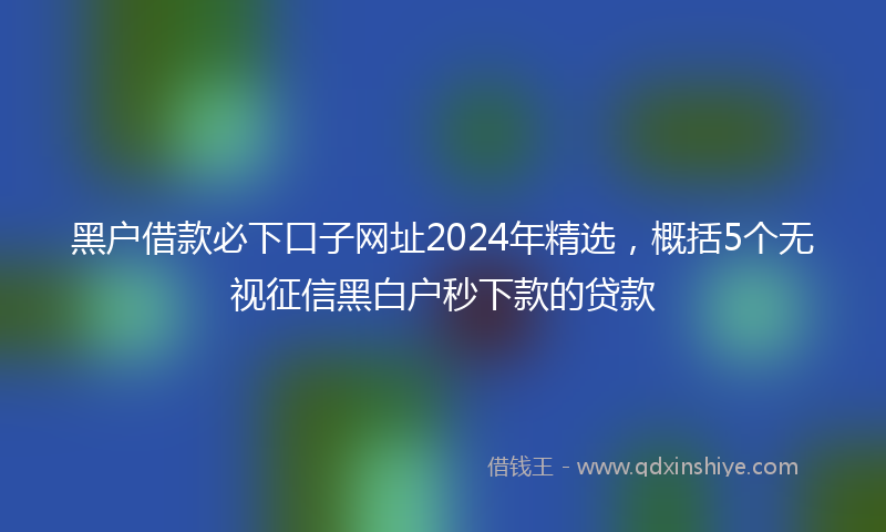黑户借款必下口子网址2024年精选，概括5个无视征信黑白户秒下款的贷款