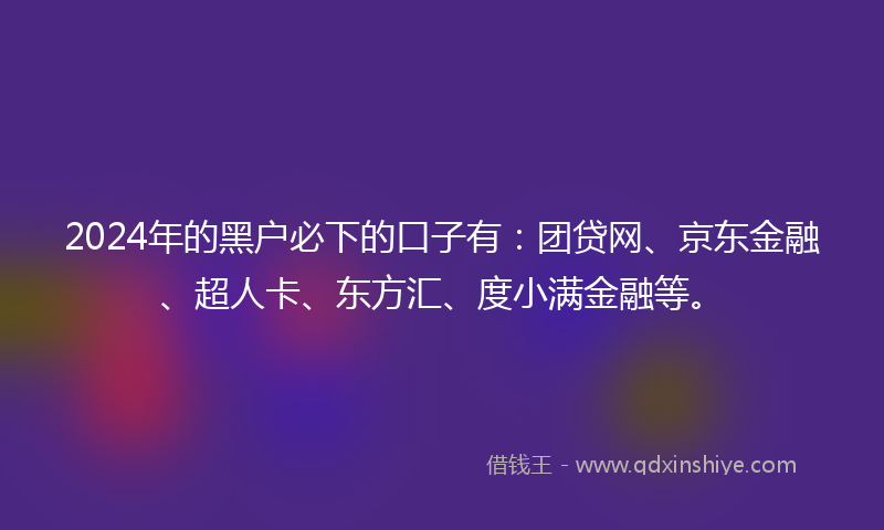 2024年的黑户必下的口子有：团贷网、京东金融、超人卡、东方汇、度小满金融等。