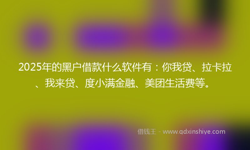 2025年的黑户借款什么软件有：你我贷、拉卡拉、我来贷、度小满金融、美团生活费等。