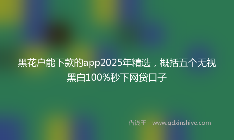 黑花户能下款的app2025年精选，概括五个无视黑白100%秒下网贷口子