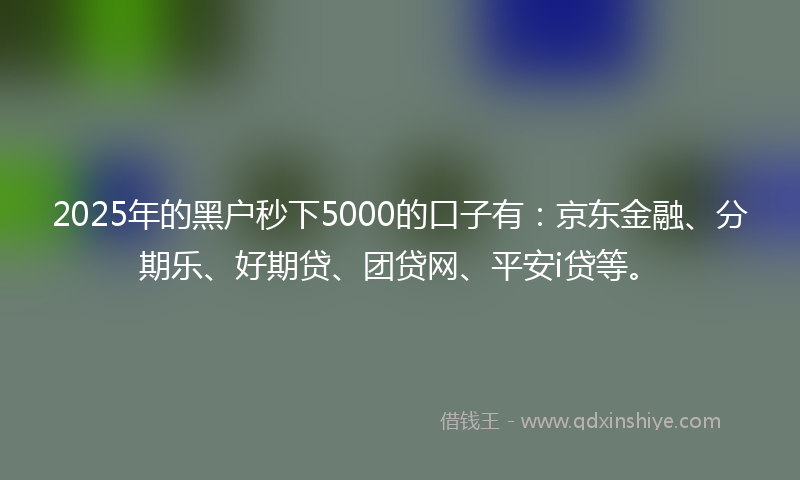 2025年的黑户秒下5000的口子有：京东金融、分期乐、好期贷、团贷网、平安i贷等。