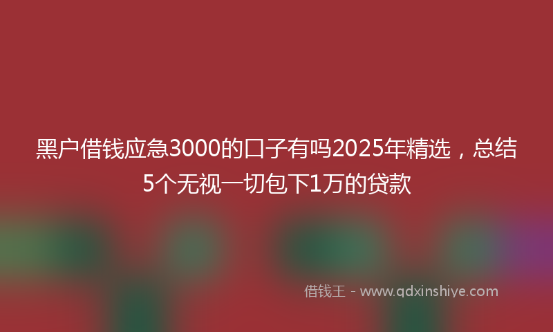 黑户借钱应急3000的口子有吗2025年精选，总结5个无视一切包下1万的贷款