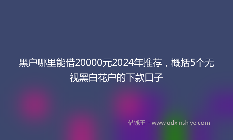 黑户哪里能借20000元2024年推荐，概括5个无视黑白花户的下款口子