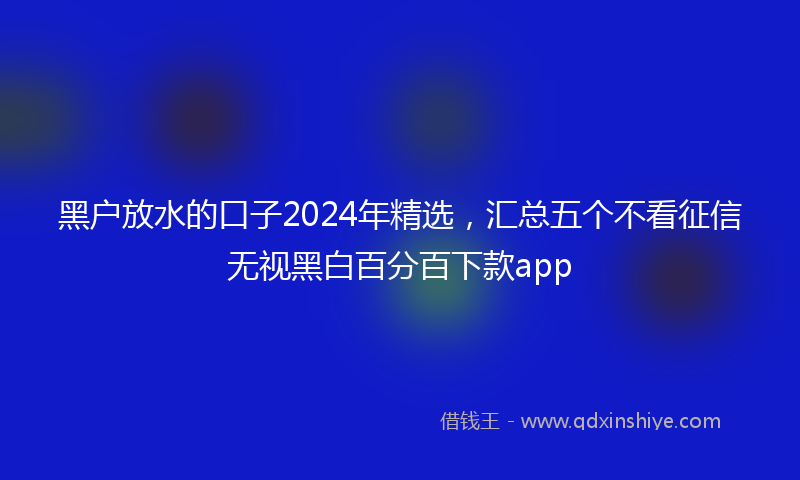 黑户放水的口子2024年精选，汇总五个不看征信无视黑白百分百下款app