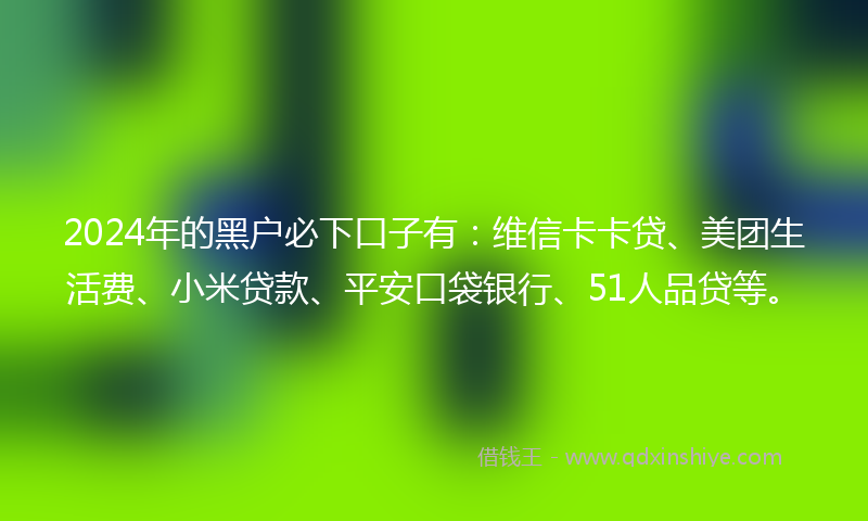2024年的黑户必下口子有：维信卡卡贷、美团生活费、小米贷款、平安口袋银行、51人品贷等。