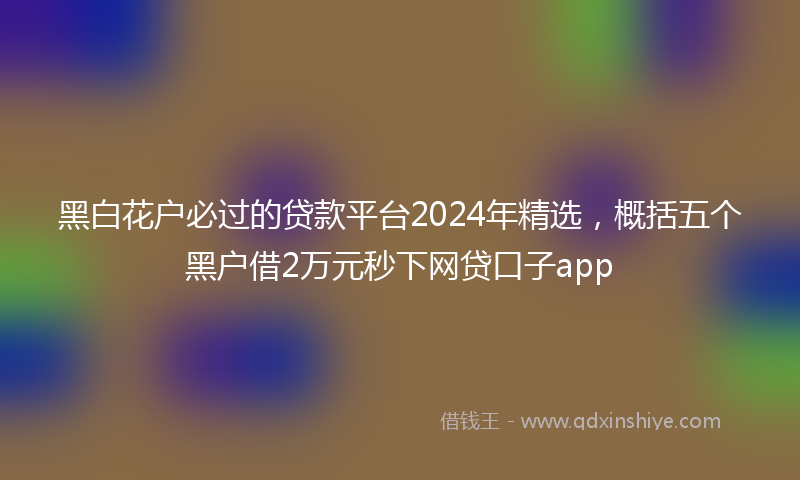 黑白花户必过的贷款平台2024年精选，概括五个黑户借2万元秒下网贷口子app