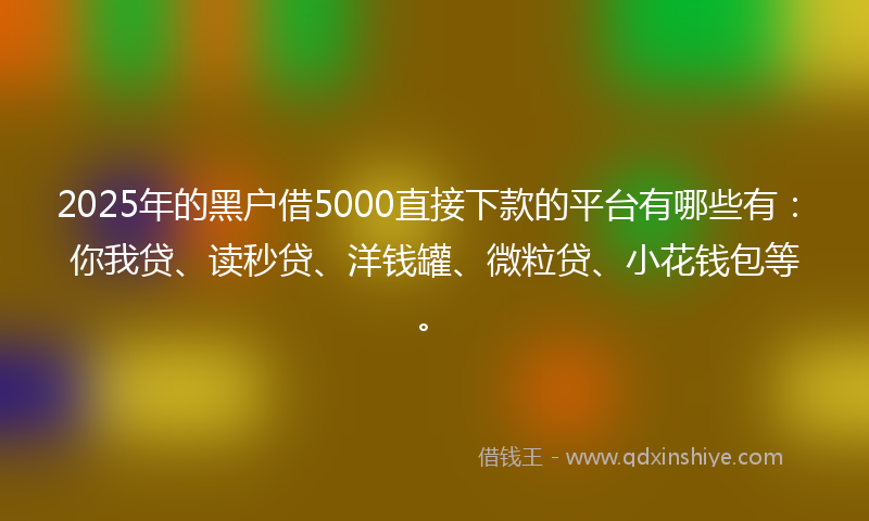 2025年的黑户借5000直接下款的平台有哪些有：你我贷、读秒贷、洋钱罐、微粒贷、小花钱包等。