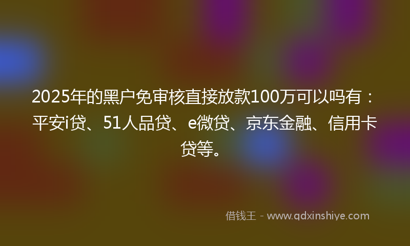 2025年的黑户免审核直接放款100万可以吗有：平安i贷、51人品贷、e微贷、京东金融、信用卡贷等。