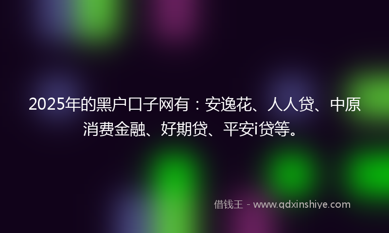 2025年的黑户口子网有：安逸花、人人贷、中原消费金融、好期贷、平安i贷等。