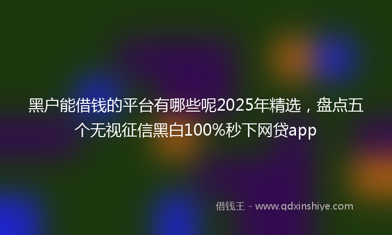 黑户能借钱的平台有哪些呢2025年精选，盘点五个无视征信黑白100%秒下网贷app
