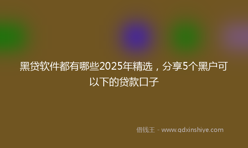 黑贷软件都有哪些2025年精选，分享5个黑户可以下的贷款口子