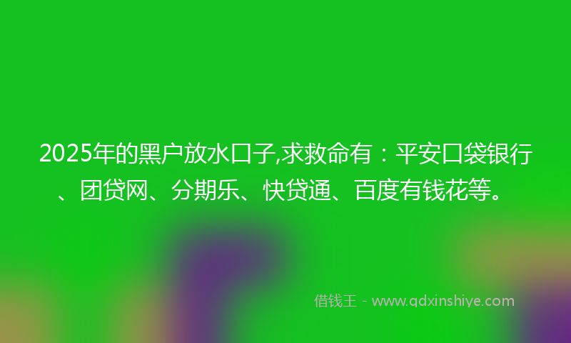 2025年的黑户放水口子,求救命有：平安口袋银行、团贷网、分期乐、快贷通、百度有钱花等。
