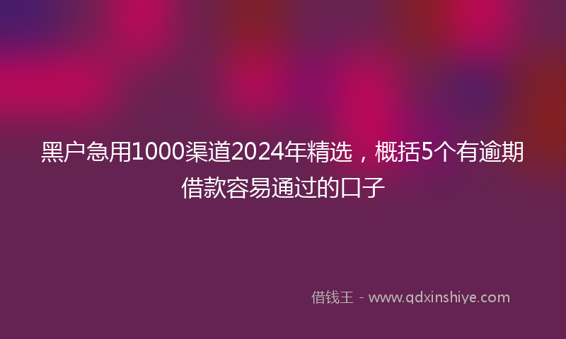 黑户急用1000渠道2024年精选，概括5个有逾期借款容易通过的口子