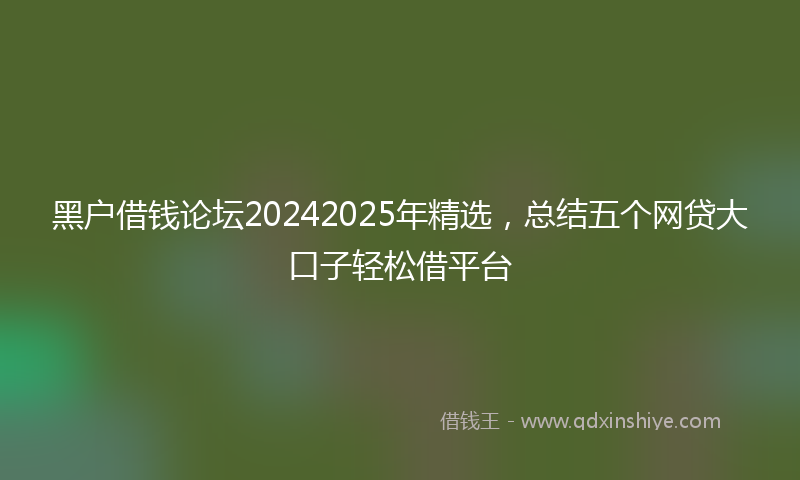 黑户借钱论坛20242025年精选，总结五个网贷大口子轻松借平台