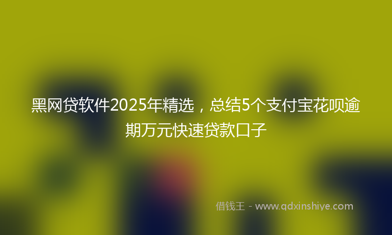 黑网贷软件2025年精选，总结5个支付宝花呗逾期万元快速贷款口子