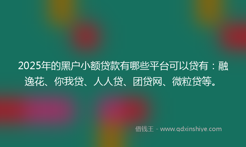 2025年的黑户小额贷款有哪些平台可以贷有：融逸花、你我贷、人人贷、团贷网、微粒贷等。