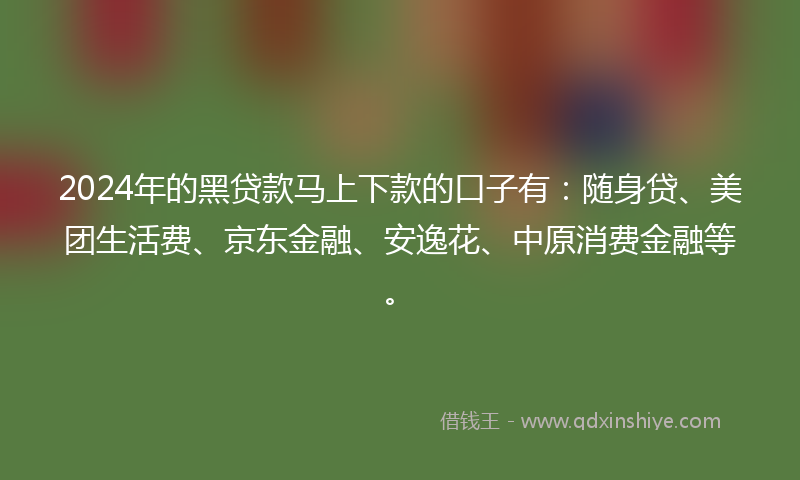 2024年的黑贷款马上下款的口子有：随身贷、美团生活费、京东金融、安逸花、中原消费金融等。