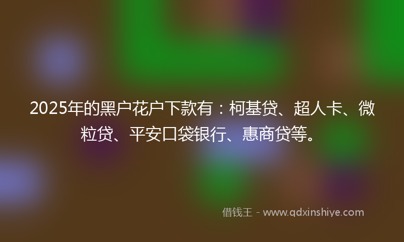 2025年的黑户花户下款有：柯基贷、超人卡、微粒贷、平安口袋银行、惠商贷等。