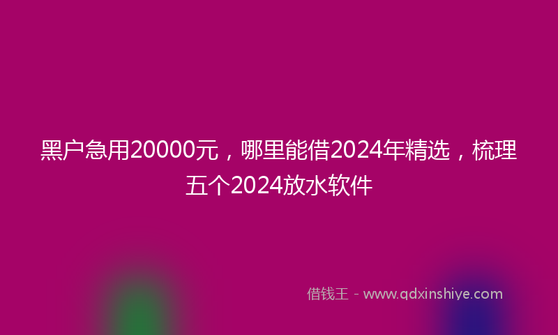 黑户急用20000元，哪里能借2024年精选，梳理五个2024放水软件
