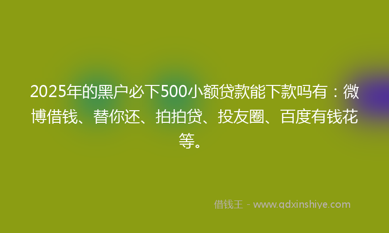 2025年的黑户必下500小额贷款能下款吗有：微博借钱、替你还、拍拍贷、投友圈、百度有钱花等。