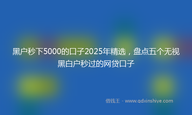 黑户秒下5000的口子2025年精选，盘点五个无视黑白户秒过的网贷口子