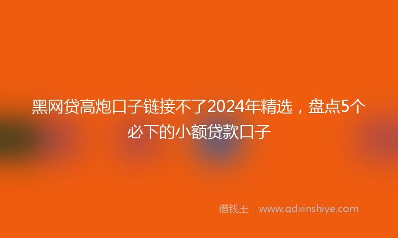 黑网贷高炮口子链接不了2024年精选，盘点5个必下的小额贷款口子