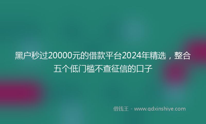 黑户秒过20000元的借款平台2024年精选，整合五个低门槛不查征信的口子