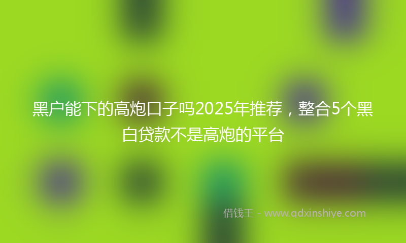 黑户能下的高炮口子吗2025年推荐，整合5个黑白贷款不是高炮的平台