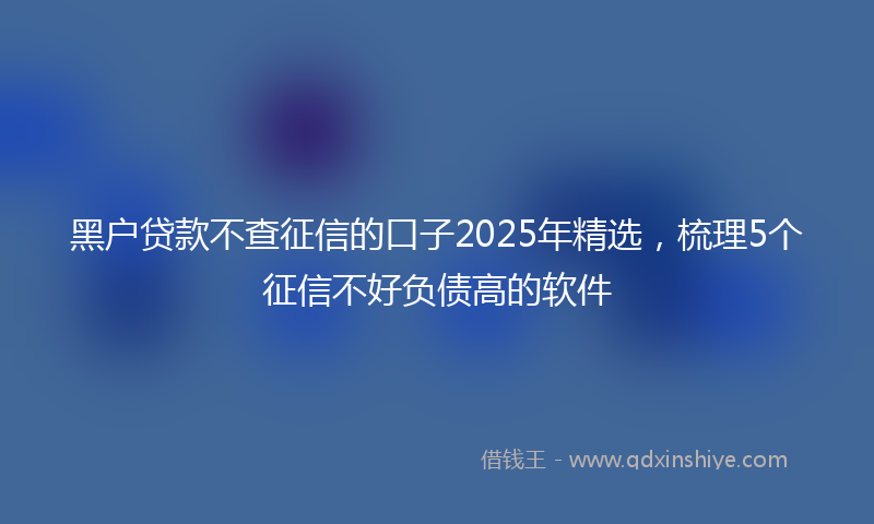 黑户贷款不查征信的口子2025年精选，梳理5个征信不好负债高的软件