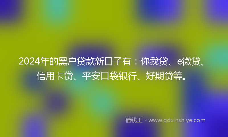 2024年的黑户贷款新口子有：你我贷、e微贷、信用卡贷、平安口袋银行、好期贷等。