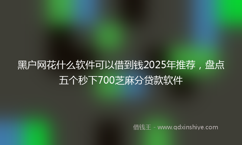 黑户网花什么软件可以借到钱2025年推荐，盘点五个秒下700芝麻分贷款软件