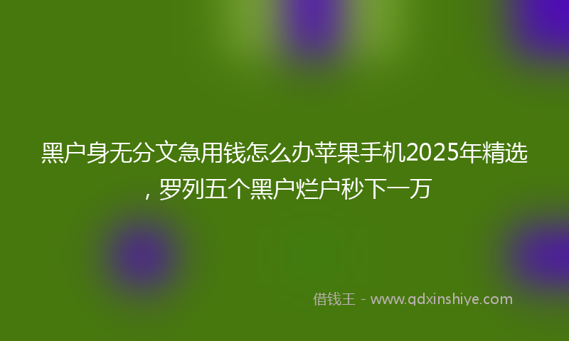 黑户身无分文急用钱怎么办苹果手机2025年精选，罗列五个黑户烂户秒下一万