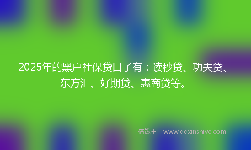 2025年的黑户社保贷口子有：读秒贷、功夫贷、东方汇、好期贷、惠商贷等。