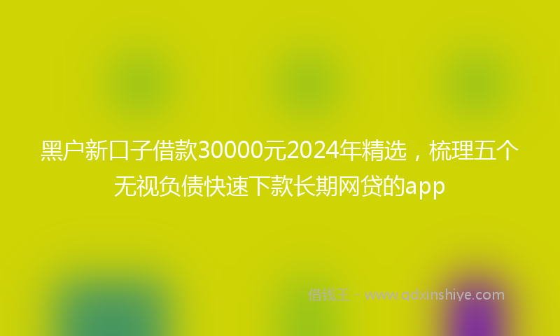黑户新口子借款30000元2024年精选，梳理五个无视负债快速下款长期网贷的app