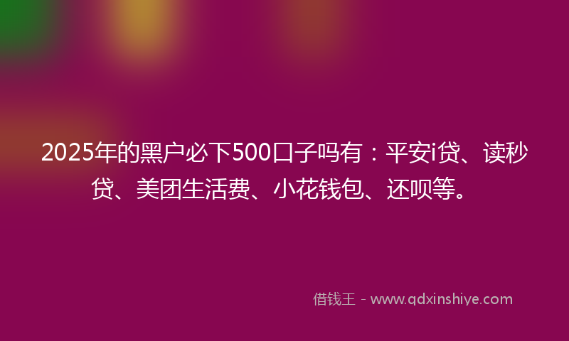 2025年的黑户必下500口子吗有：平安i贷、读秒贷、美团生活费、小花钱包、还呗等。