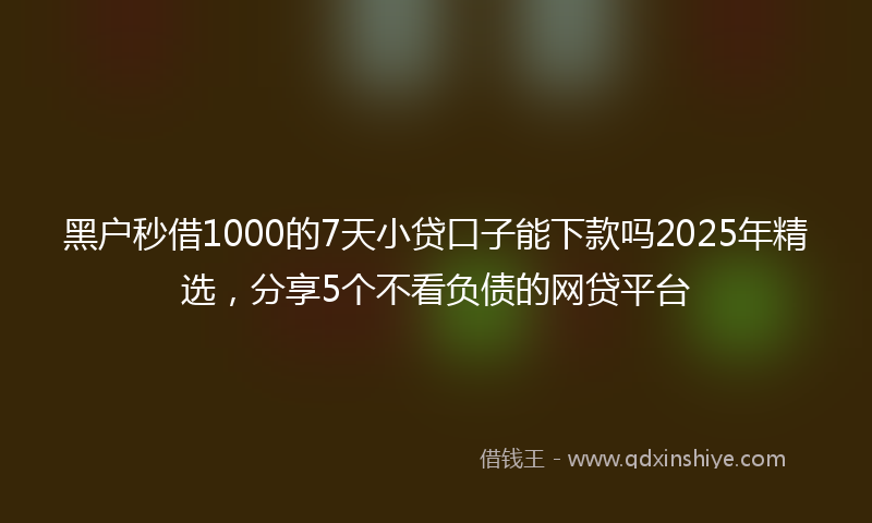 黑户秒借1000的7天小贷口子能下款吗2025年精选，分享5个不看负债的网贷平台