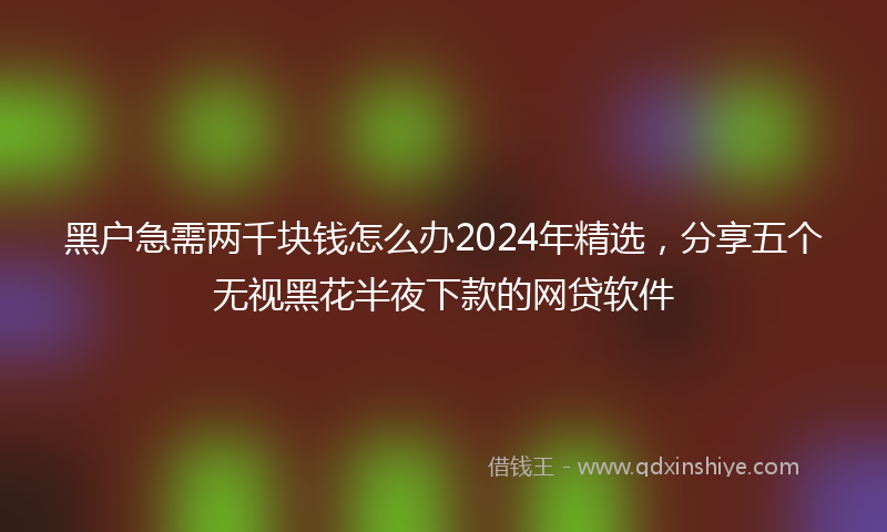 黑户急需两千块钱怎么办2024年精选，分享五个无视黑花半夜下款的网贷软件