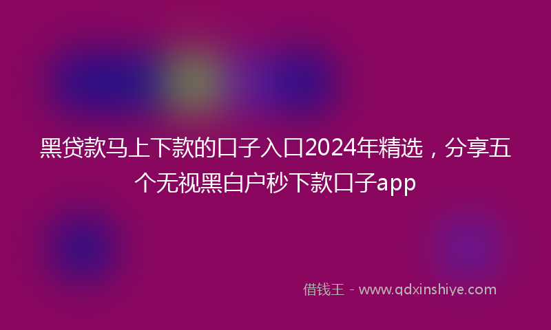 黑贷款马上下款的口子入口2024年精选，分享五个无视黑白户秒下款口子app