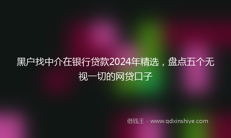 黑户找中介在银行贷款2024年精选，盘点五个无视一切的网贷口子