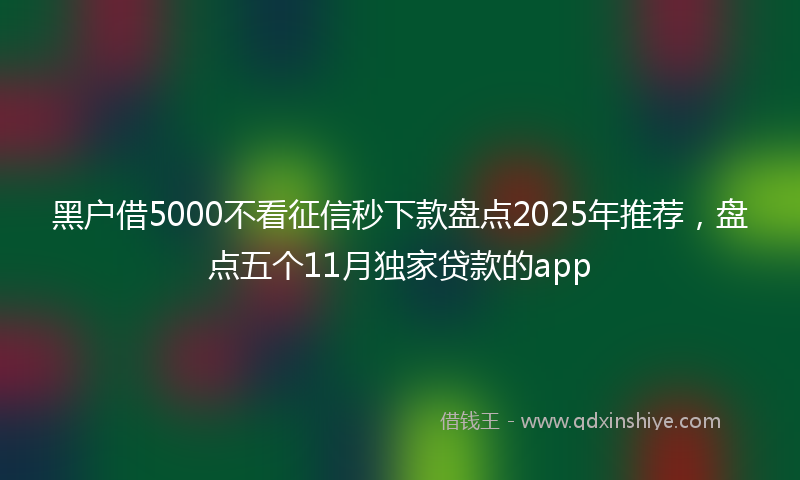 黑户借5000不看征信秒下款盘点2025年推荐，盘点五个11月独家贷款的app